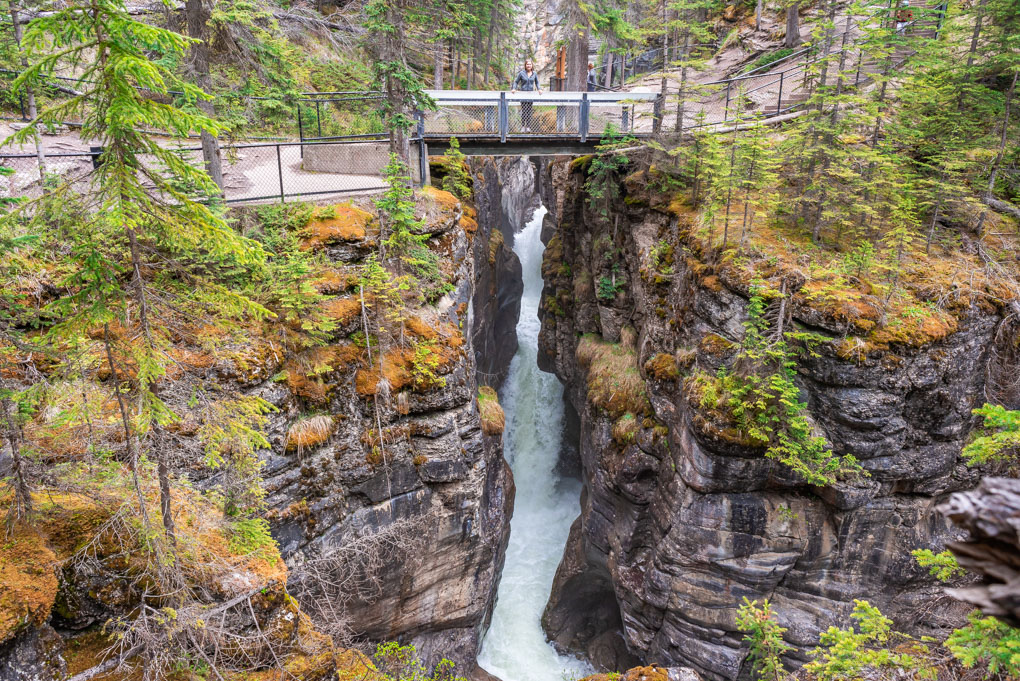 Bailey on bridge two in Maligne Canyon, Jasper