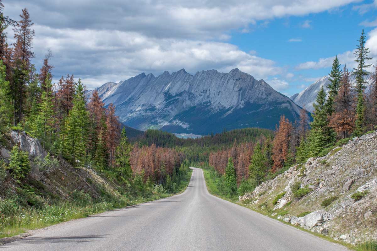 The stunning road to Maligne Lake with the mountains in the distance