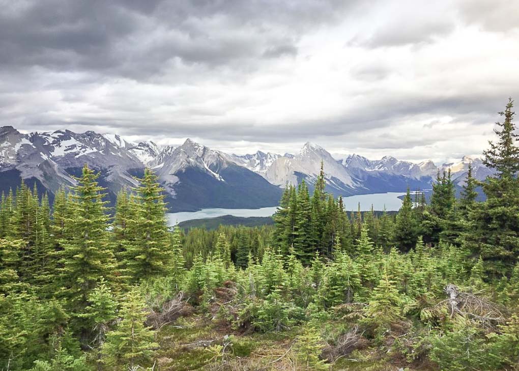 Views of Maligne Lake on the Bald Hills Trail