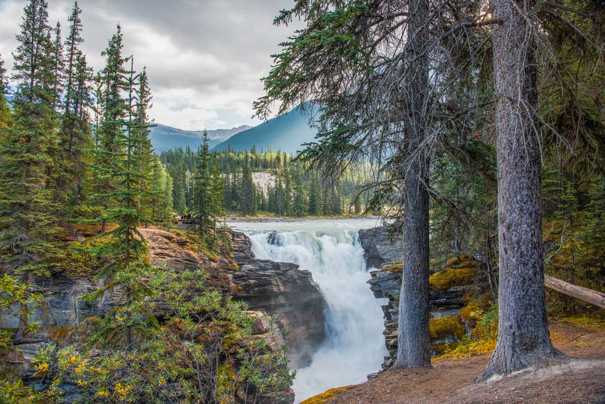 Athabasca Falls as seen from the bridge at the attraction