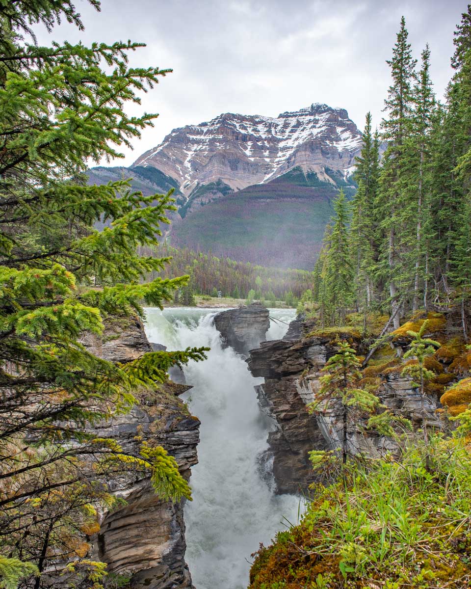 Athabasca Falls with mountains in the background