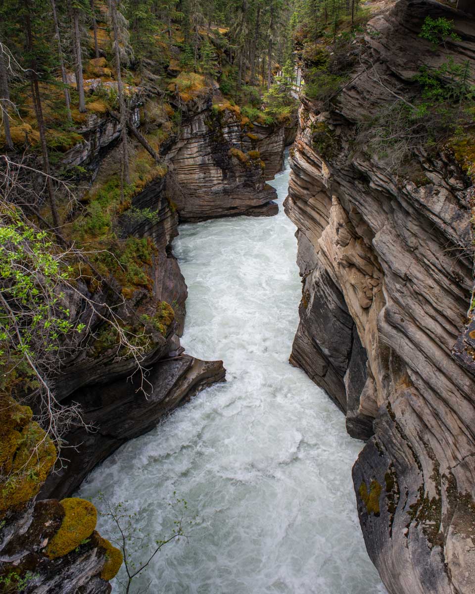 Running water below Athabasca Falls