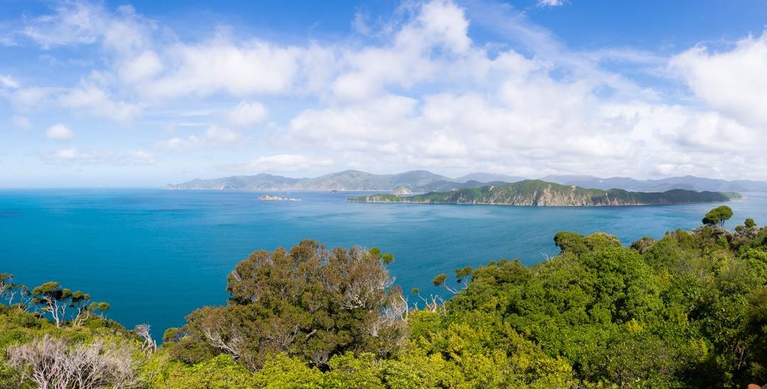 Marlborough Sounds view from an island