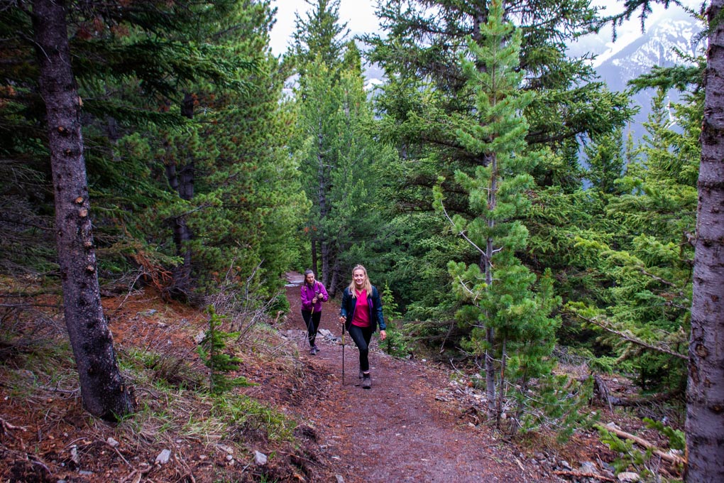 Two people hiking up the switchbacks on Ha Ling Peak Hike