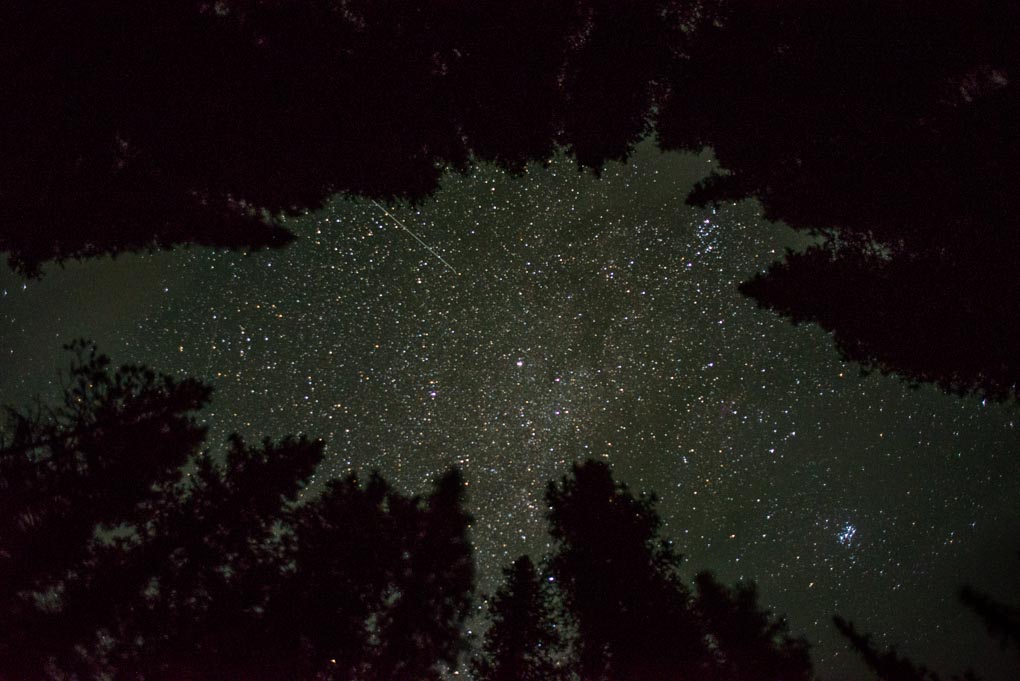 Photo of the stars taken on the trail to the Larch Valley