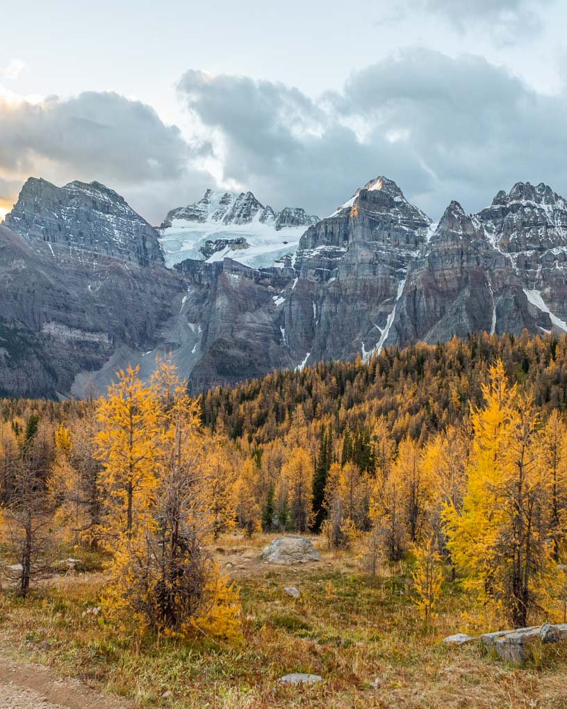 Views on the Larch Valley Trail at sunrise during fall in Banff