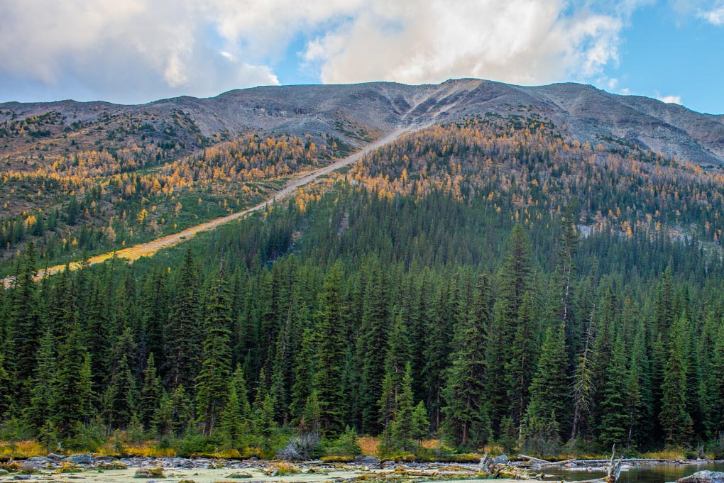 The pathway to the top on Panorama Ridge