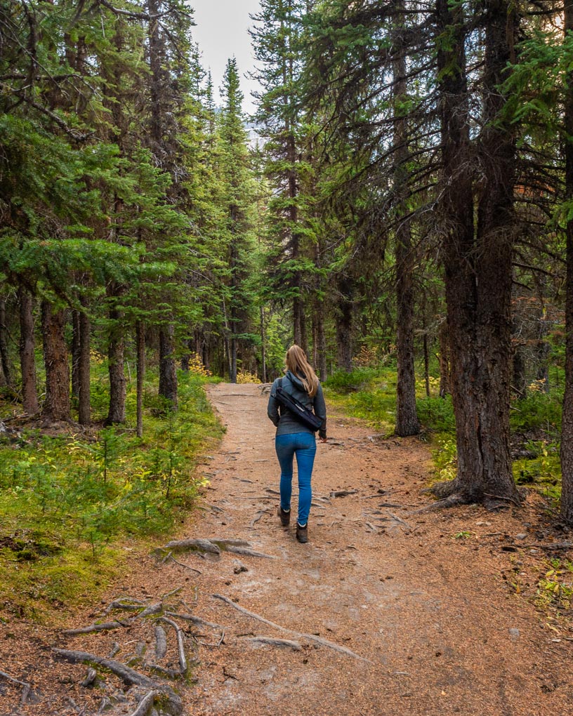 A lasy hiking on the Consolation Lakes Trail