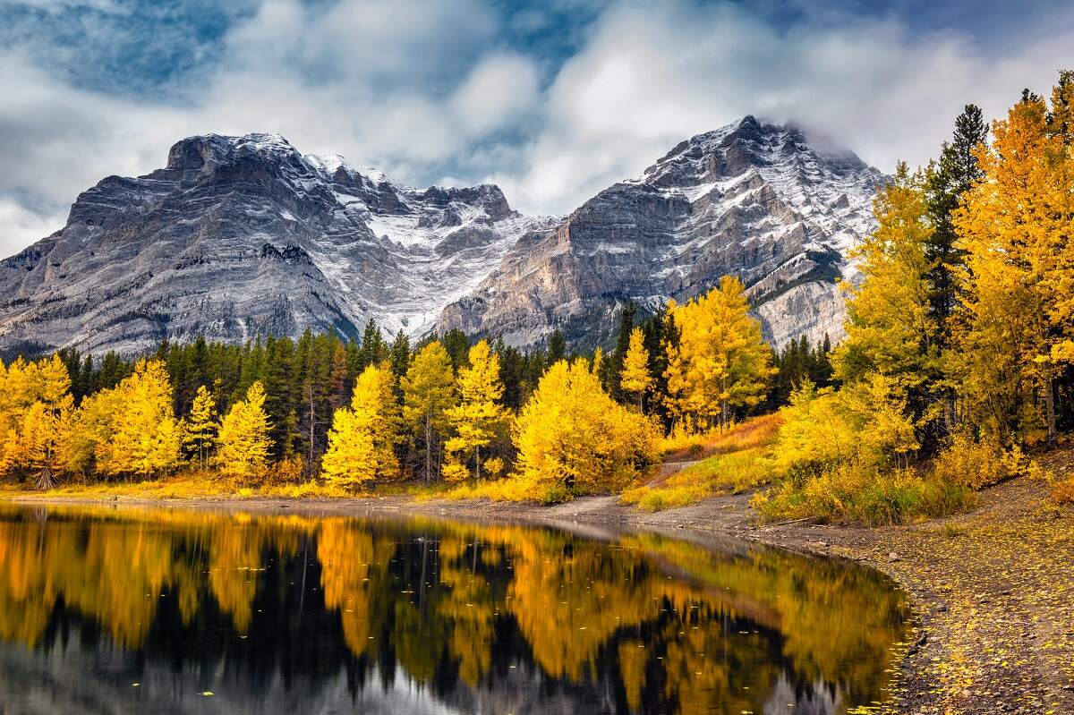 lake reflecting mountain and fall colored trees in Banff National PArk