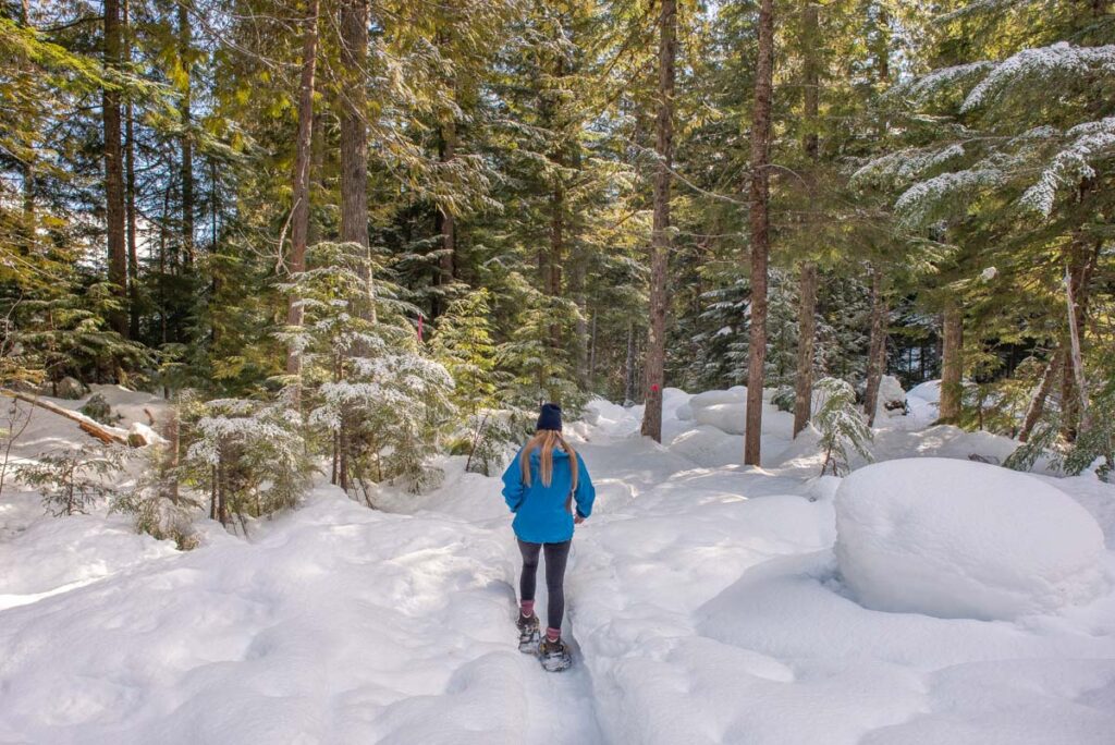 woman showshoeing through a pine forest