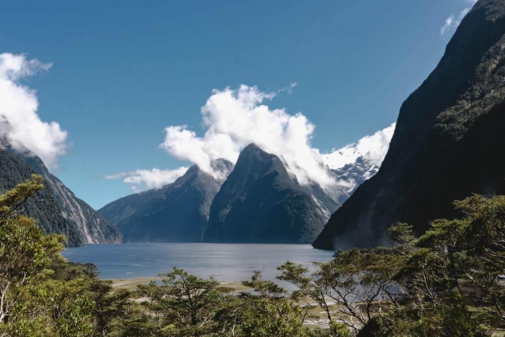 Milford Sound lookout track