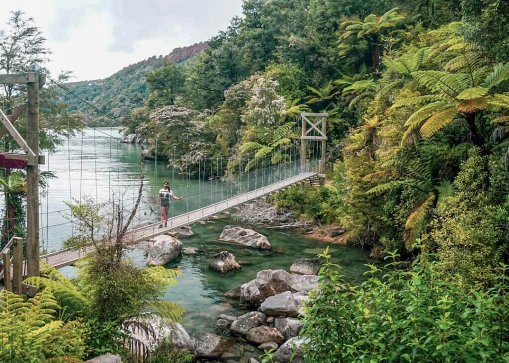 The Bark Bay Swing Birdge nearby the Bark Bay Hut