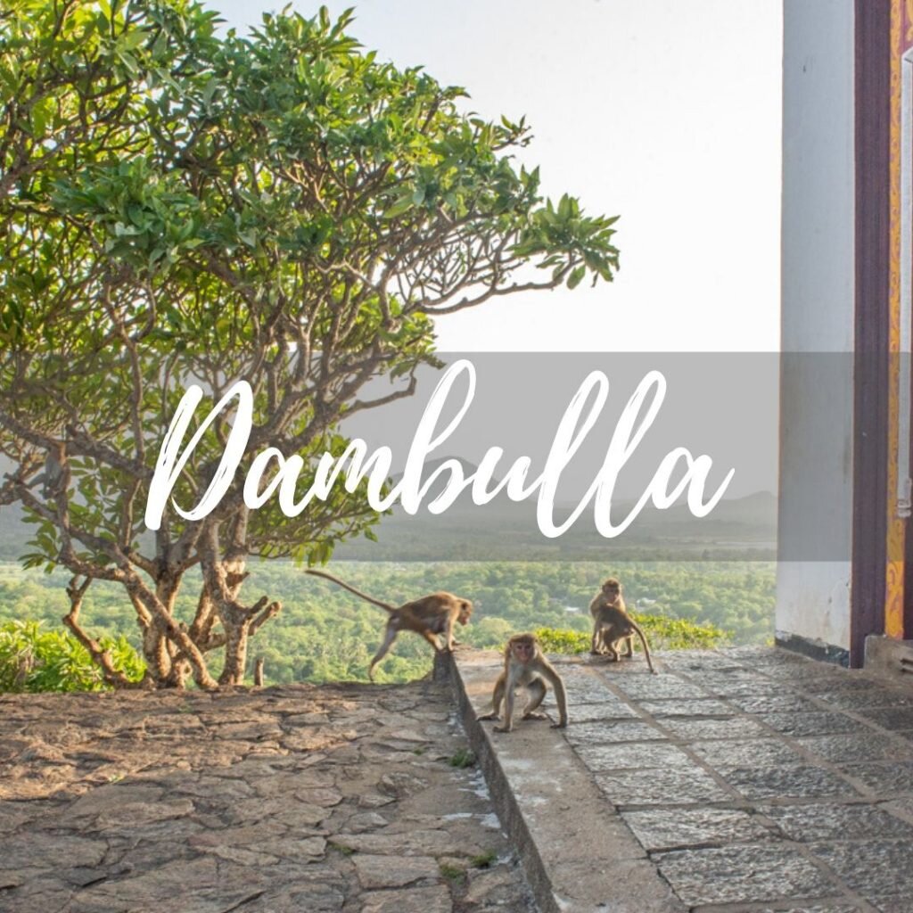 Dambulla, Sri Lanka