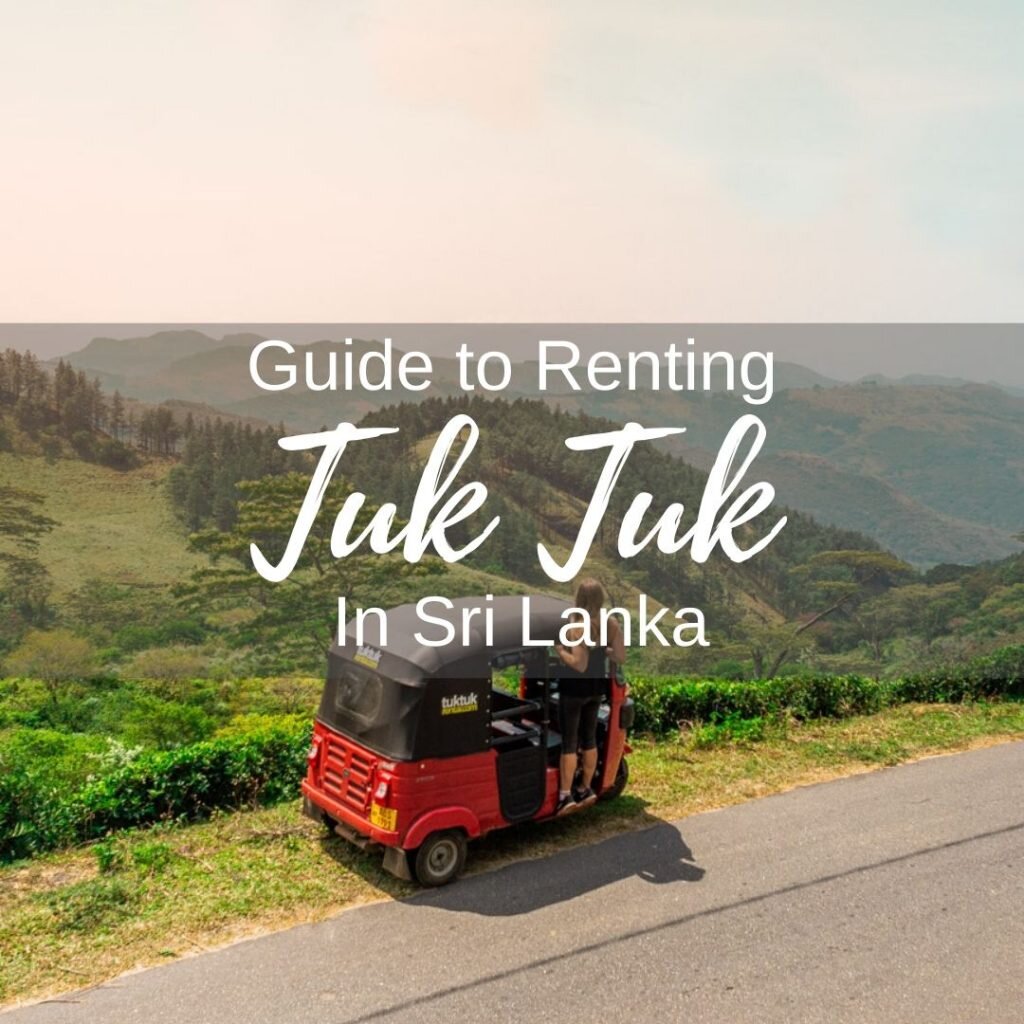 How to rent a tuk tuk in Sri Lanka