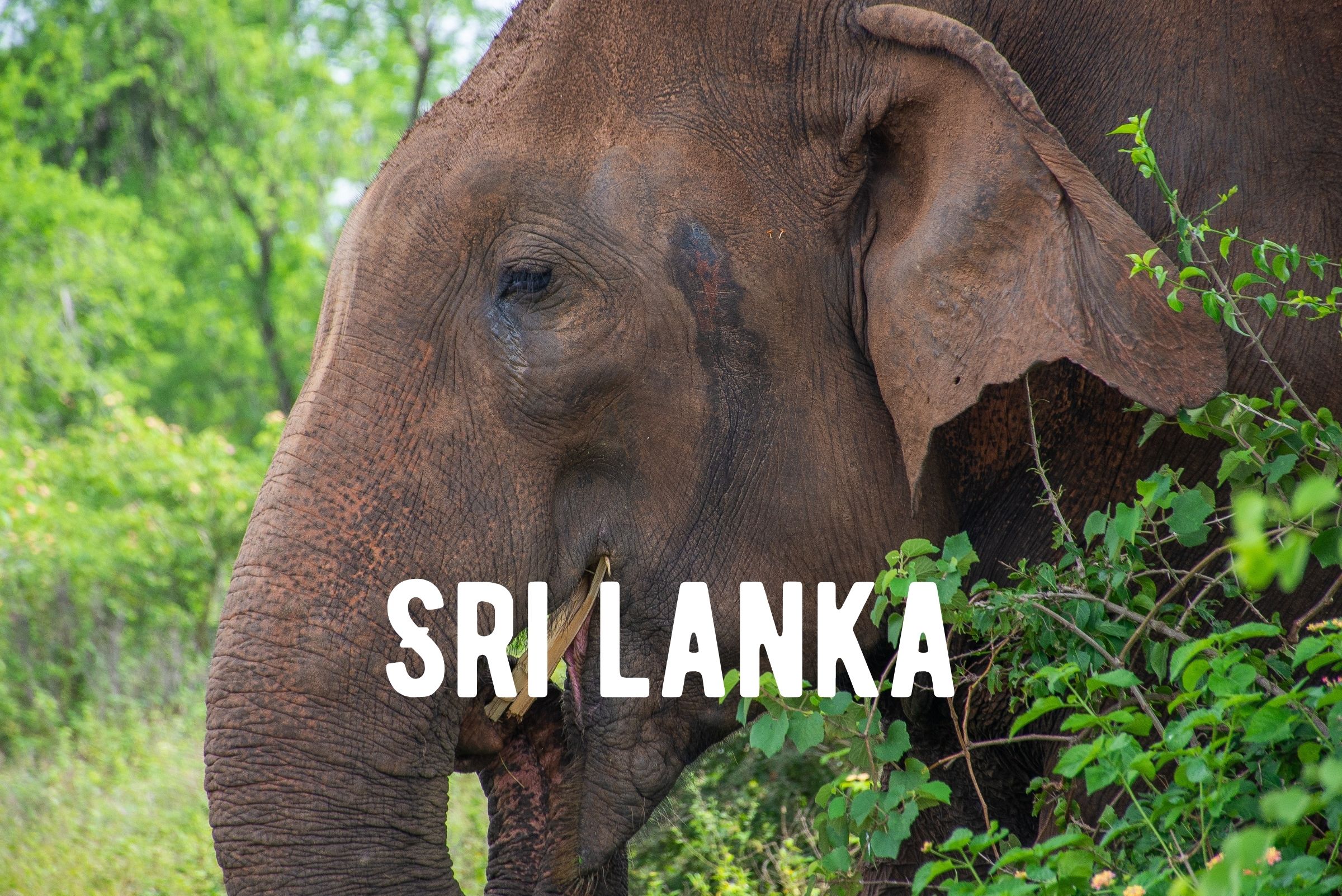 Sri Lanka