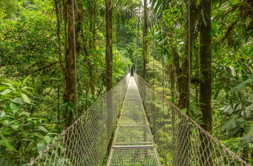 Hanging Bridges in La Fortuna