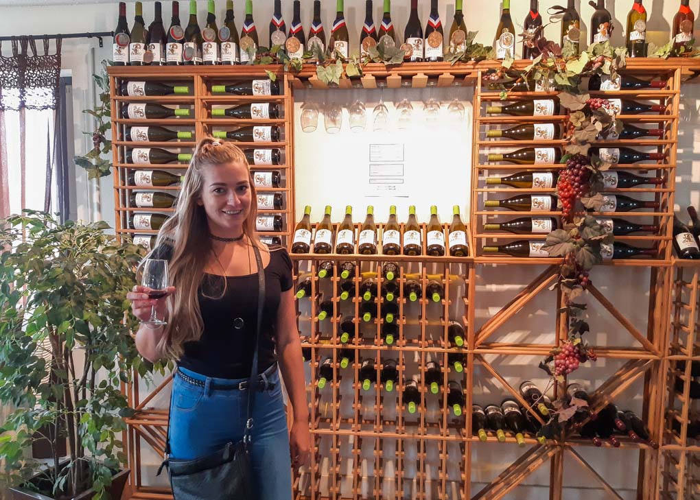 Bailey at OVINO Winery