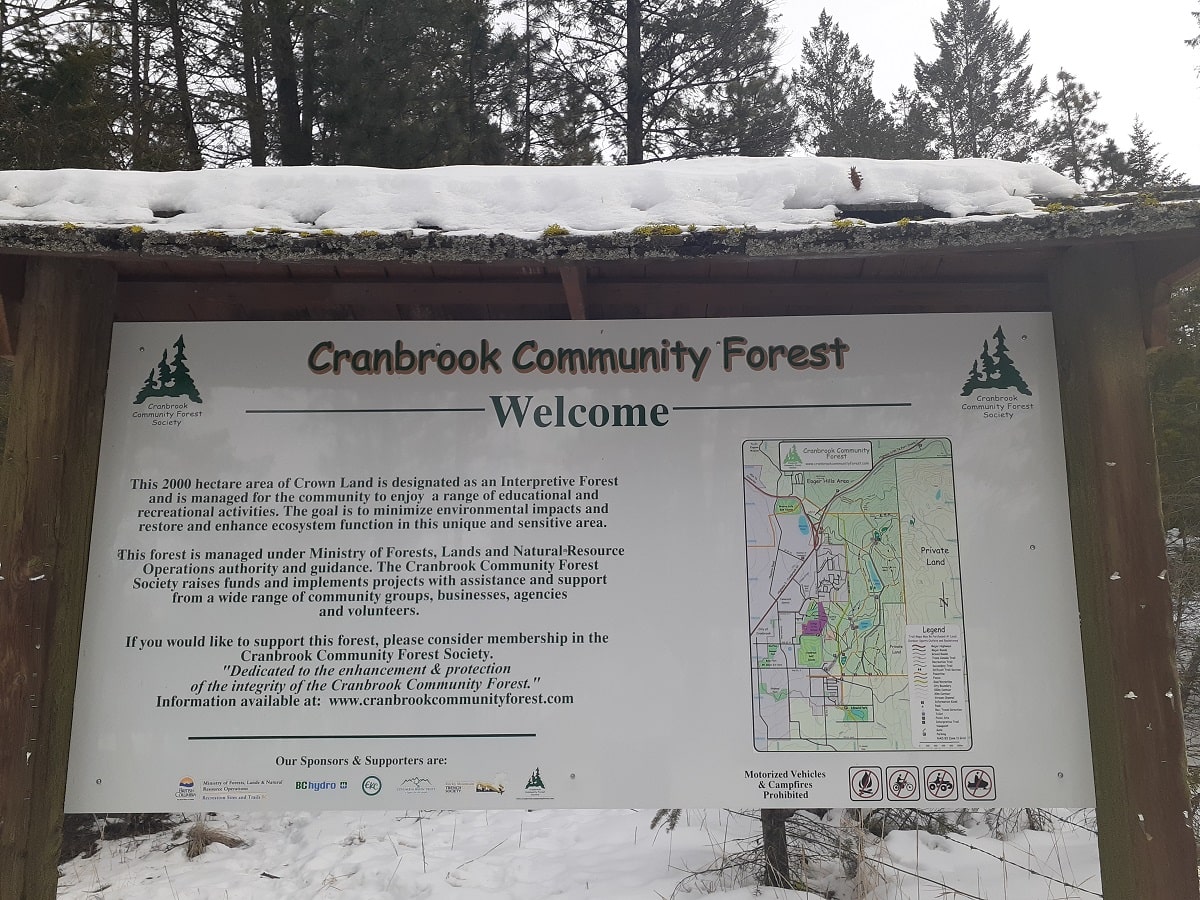 cranbrook-community-forest-map