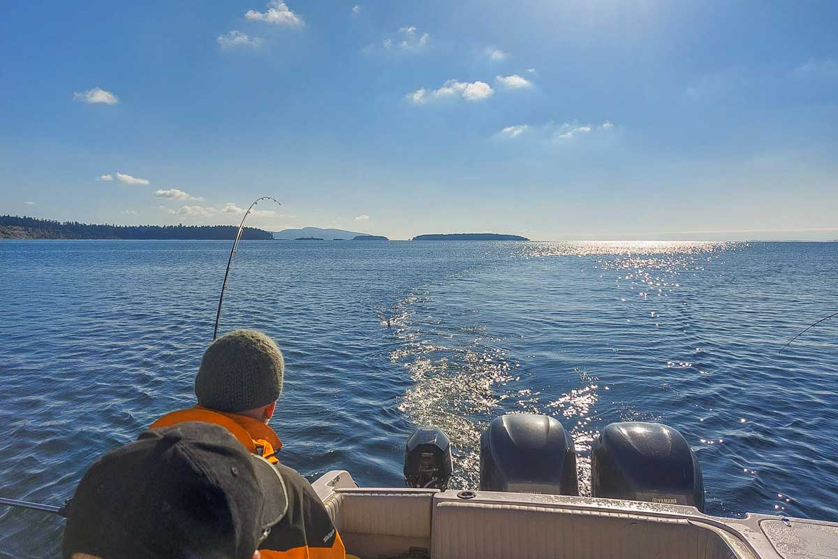 Bon Chovy Fishing Charters