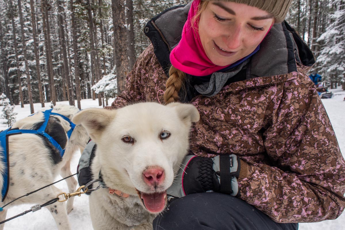 A lady poses with a sled dog on a tour in Canada