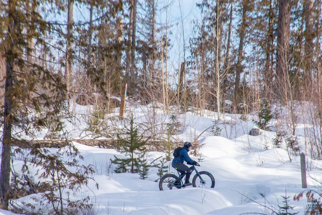 Fat biking in the Montane are in Fernie