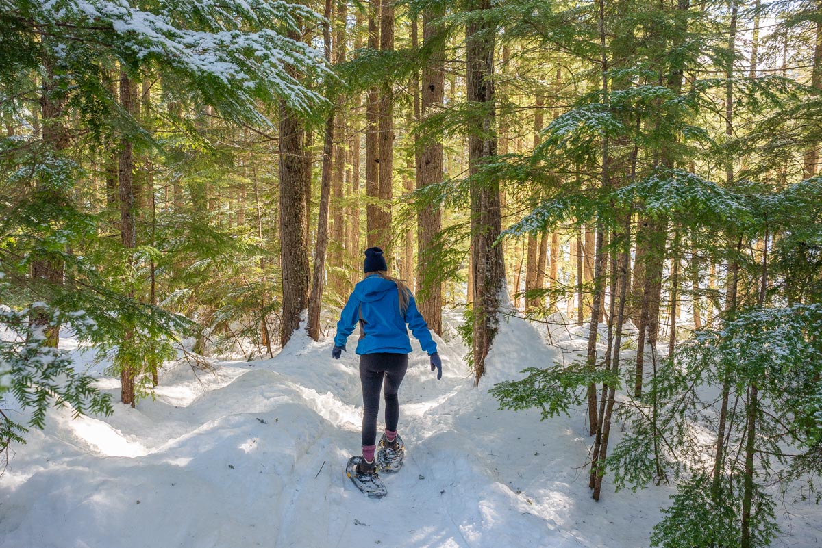 Snowshoeing in Canada on trails through the forest