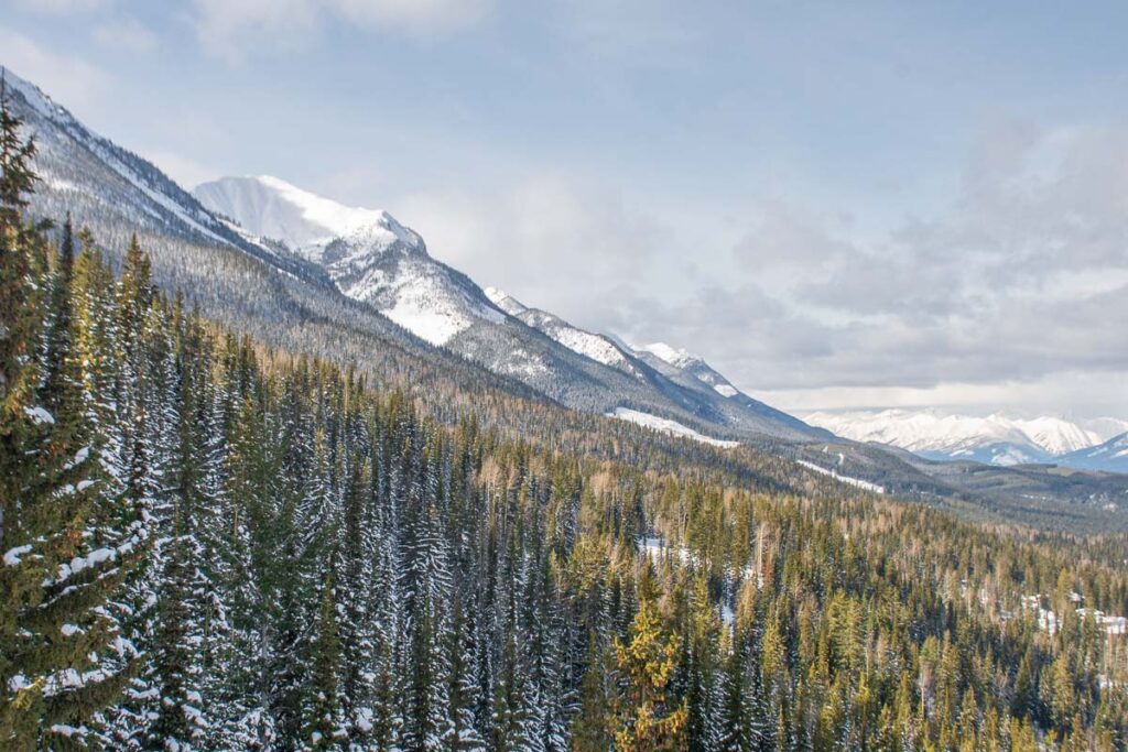Views from the sighseeing Gondola in Golden, BC