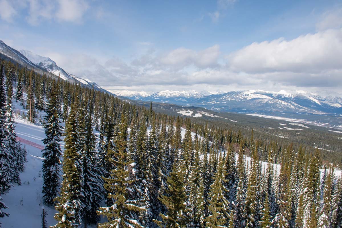 Views from the kicking Horse Gondola in Golden, BC