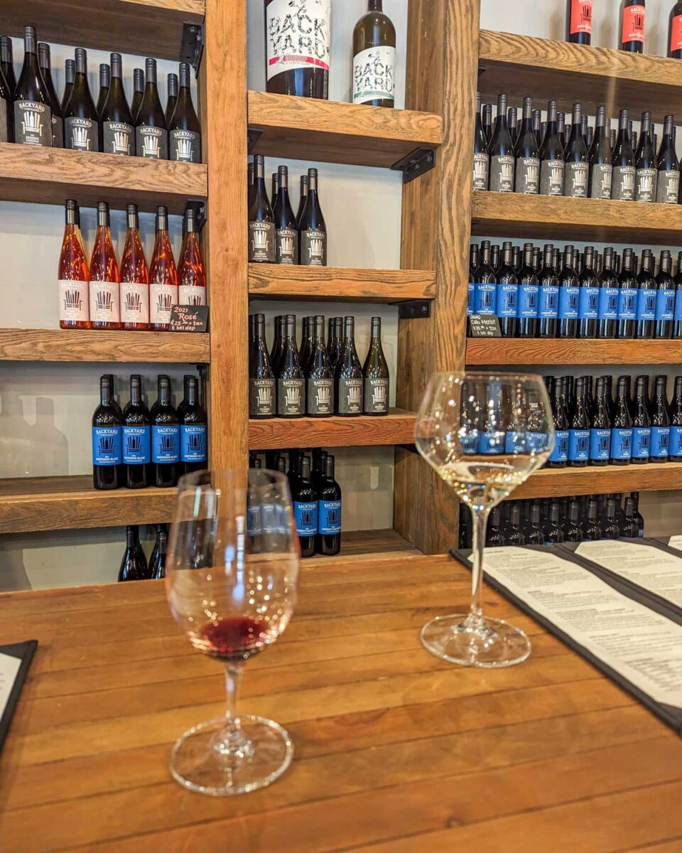 two glasses of samples of wine in Backyard Vineyards in the Fraser Valley