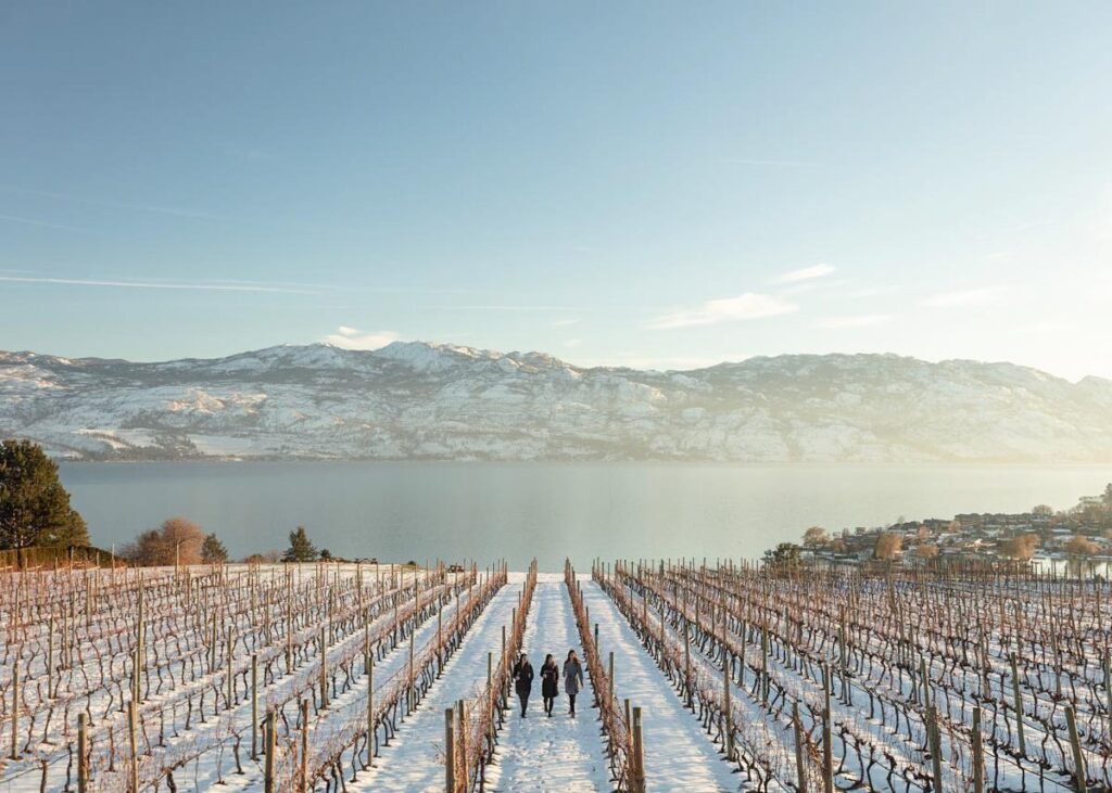 Quails Gate winery in winter