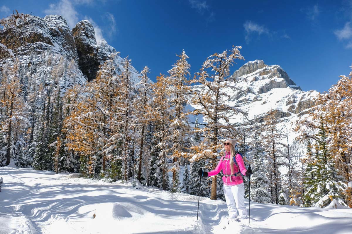 Snowshoeing near Lake Louise