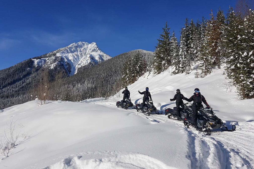 Snowmobiles from White N Wild Golden, BC