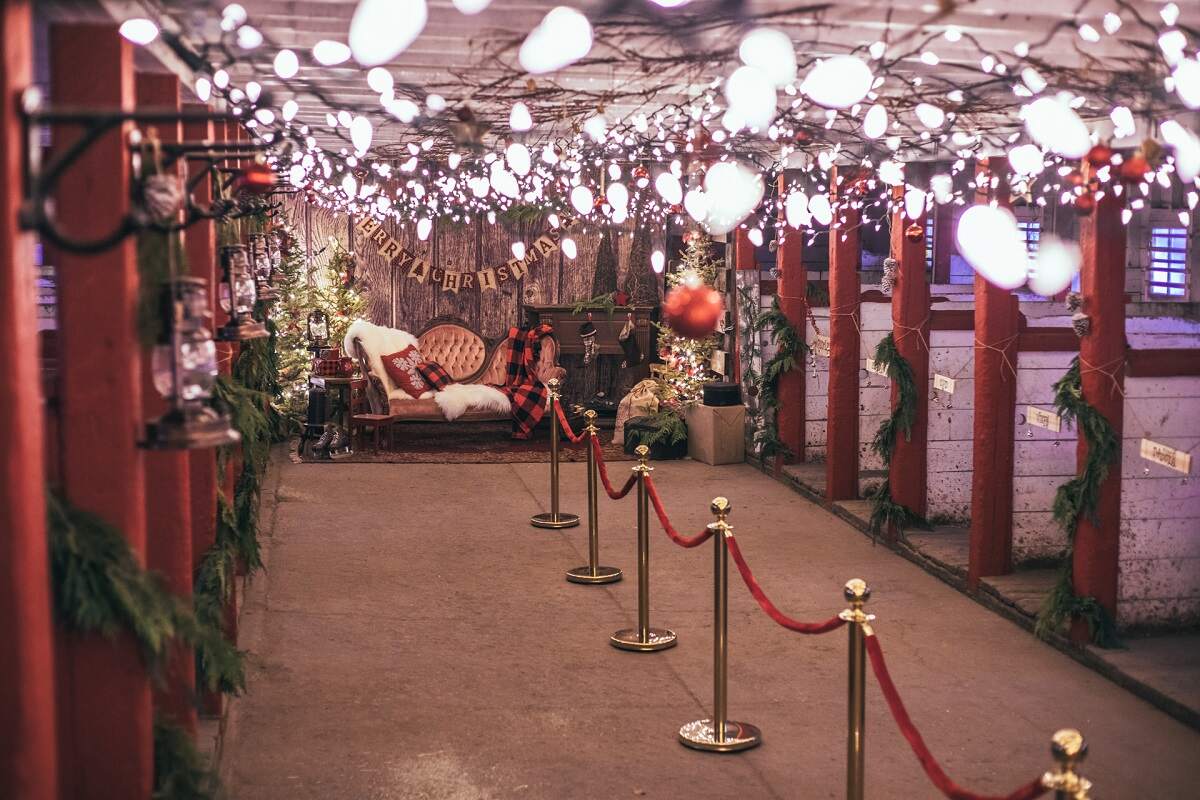 an indoor area decorated with christmas lights and trees