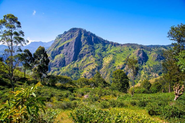 Ella Rock in Haputale Sri Lanka
