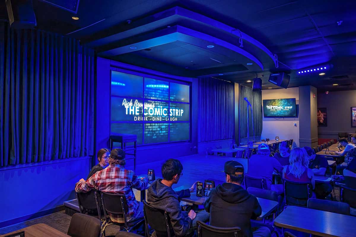 Inside the Comic Strip