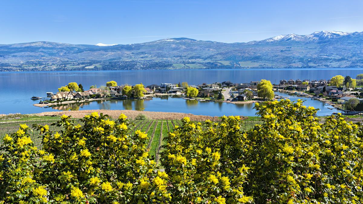 Okanagan Lake with mountains in the back and a peninsula of homes.