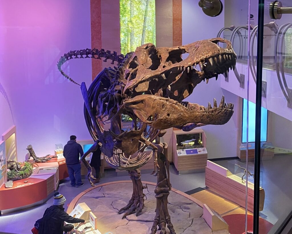 the world's largest T-Rex in Regina, Sask
