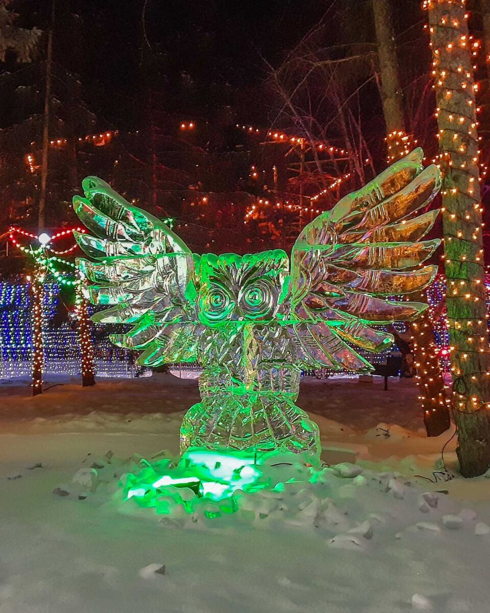 an owl ice sculpture at the Magic of Lights show in Edmonton that happens every winter