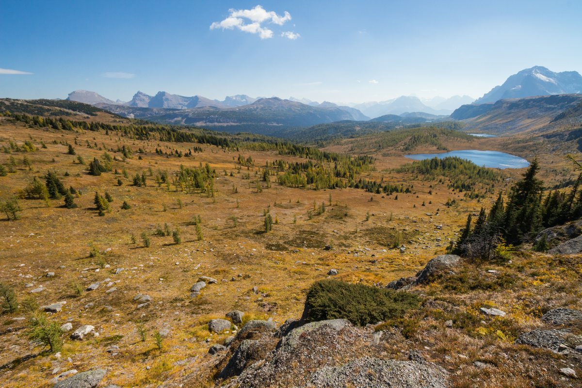 Panoramic views of Healy Pass Trail in Banff in September