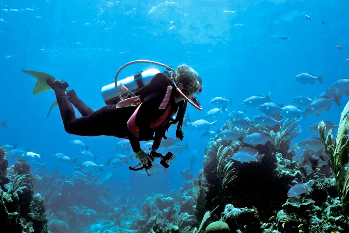 Scuba diving in Rio de Janeiro