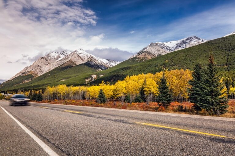 highway with yellow trees and mountains in Banff National Park