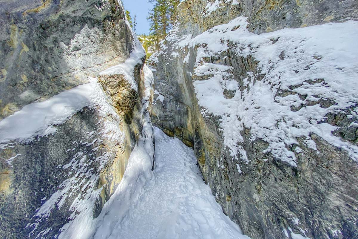 The Jura Creek Trail in winter