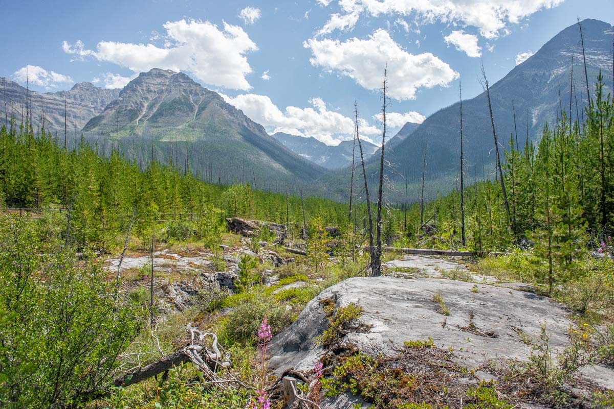 Views of Kootenay National Park