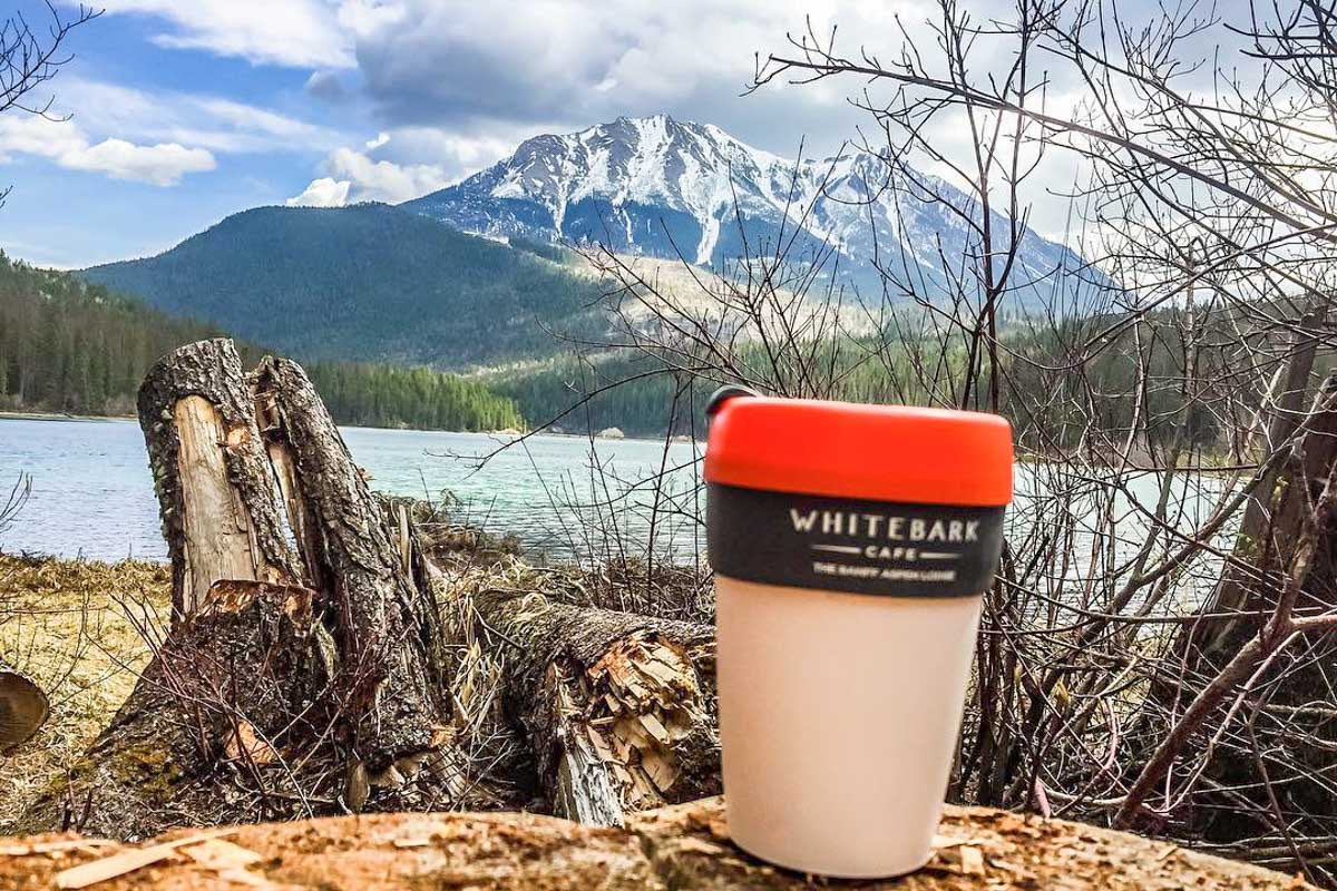 A coffee from Whitebark Cafe with a mountain backdrop in Banff National Park