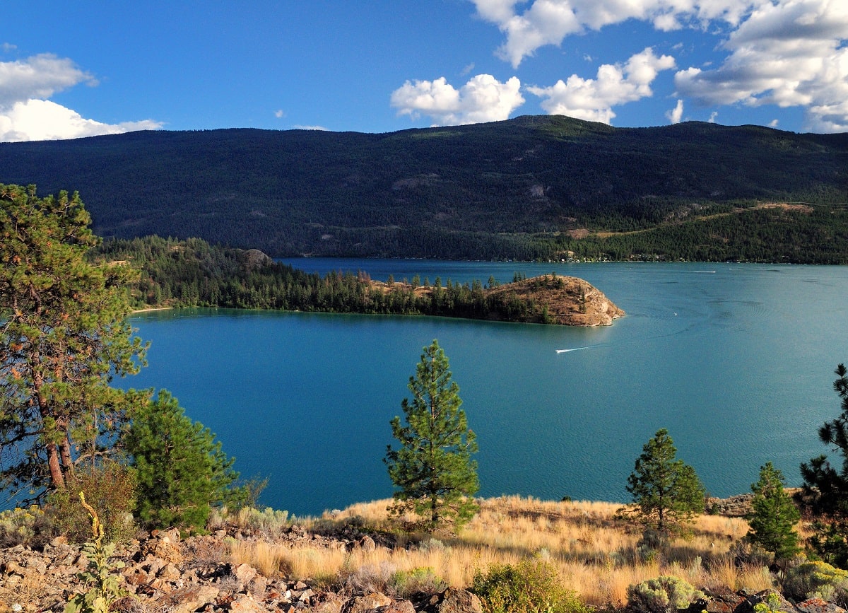 View of Kaloya lake in kaloya regional park
