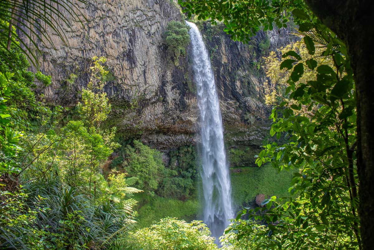 Bridal Veil Falls, Raglan