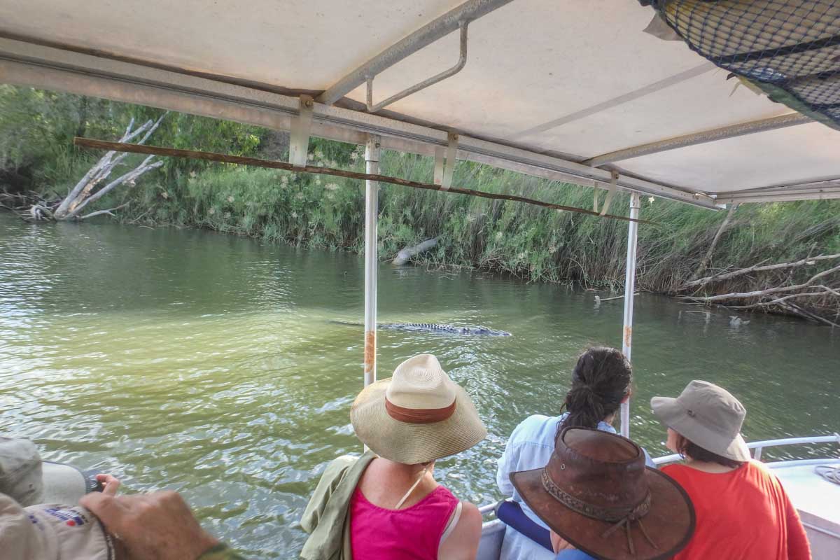 A boat cruise in Kakadu National Park with a crocodile in the water