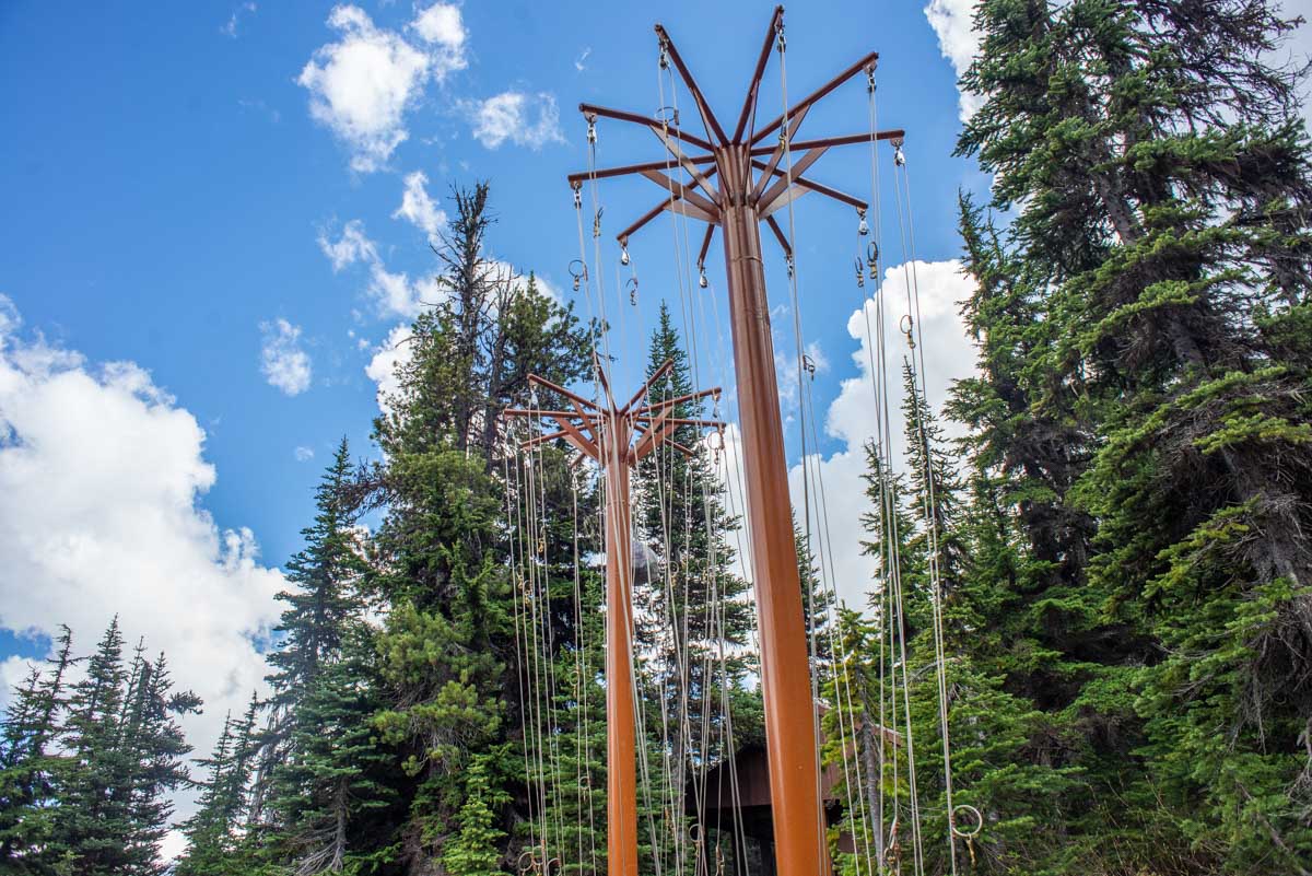 Food hangers for bears at Garibaldi Lake Campground