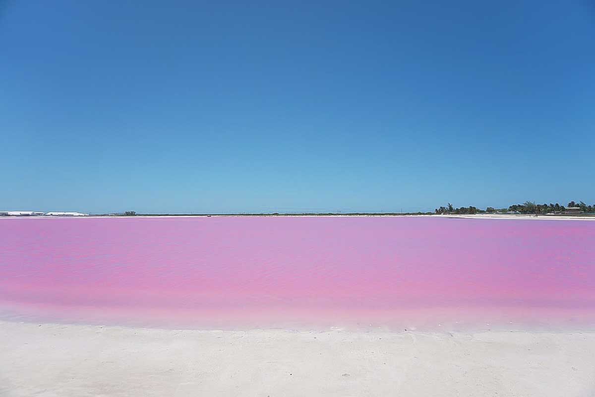 Las Coloradas pink lake, Mexico