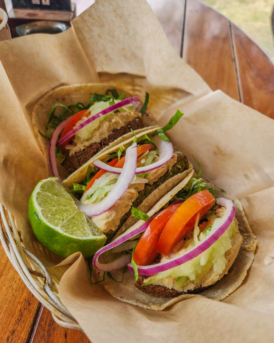 Vegan tacos at Mango y Chile in Bacalar, Mexico
